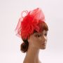 Fascinators Hat Flower Mesh Feathers Headband Hair Accessory Tea Party Wedding Cocktail Headwear for Girls Women