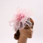 Fascinators Hat Flower Mesh Feathers Headband Hair Accessory Tea Party Wedding Cocktail Headwear for Girls Women