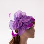 Fascinators Hat Flower Mesh Feathers Headband Hair Accessory Tea Party Wedding Cocktail Headwear for Girls Women