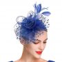 Fascinators Hat Flower Mesh Feathers Headband Hair Accessory Tea Party Wedding Cocktail Headwear for Girls Women