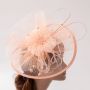 Fascinators Hat Flower Mesh Feathers Headband Hair Accessory Tea Party Wedding Cocktail Headwear for Girls Women
