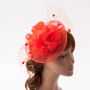 Fascinators Hat Flower Mesh Feathers Headband Hair Accessory Tea Party Wedding Cocktail Headwear for Girls Women