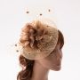 Fascinators Hat Flower Mesh Feathers Headband Hair Accessory Tea Party Wedding Cocktail Headwear for Girls Women