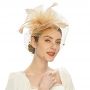 Fascinators Hat Flower Mesh Feathers Headband Hair Accessory Tea Party Wedding Cocktail Headwear for Girls Women