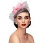 Fascinators Hat Flower Mesh Feathers Headband Hair Accessory Tea Party Wedding Cocktail Headwear for Girls Women