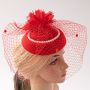 Fascinators Hat Flower Mesh Feathers Headband Hair Accessory Tea Party Wedding Cocktail Headwear for Girls Women