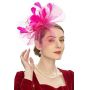 Fascinators Hat Flower Mesh Feathers Headband Hair Accessory Tea Party Wedding Cocktail Headwear for Girls Women