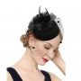 Fascinators Hat Flower Mesh Feathers Headband Hair Accessory Tea Party Wedding Cocktail Headwear for Girls Women