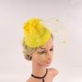 Fascinators Hat Flower Mesh Feathers Headband Hair Accessory Tea Party Wedding Cocktail Headwear for Girls Women