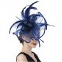 Fascinators Hat Flower Mesh Feathers Headband Hair Accessory Tea Party Wedding Cocktail Headwear for Girls Women