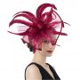 Fascinators Hat Flower Mesh Feathers Headband Hair Accessory Tea Party Wedding Cocktail Headwear for Girls Women