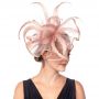 Fascinators Hat Flower Mesh Feathers Headband Hair Accessory Tea Party Wedding Cocktail Headwear for Girls Women