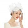 Fascinators Hat Flower Mesh Feathers Headband Hair Accessory Tea Party Wedding Cocktail Headwear for Girls Women